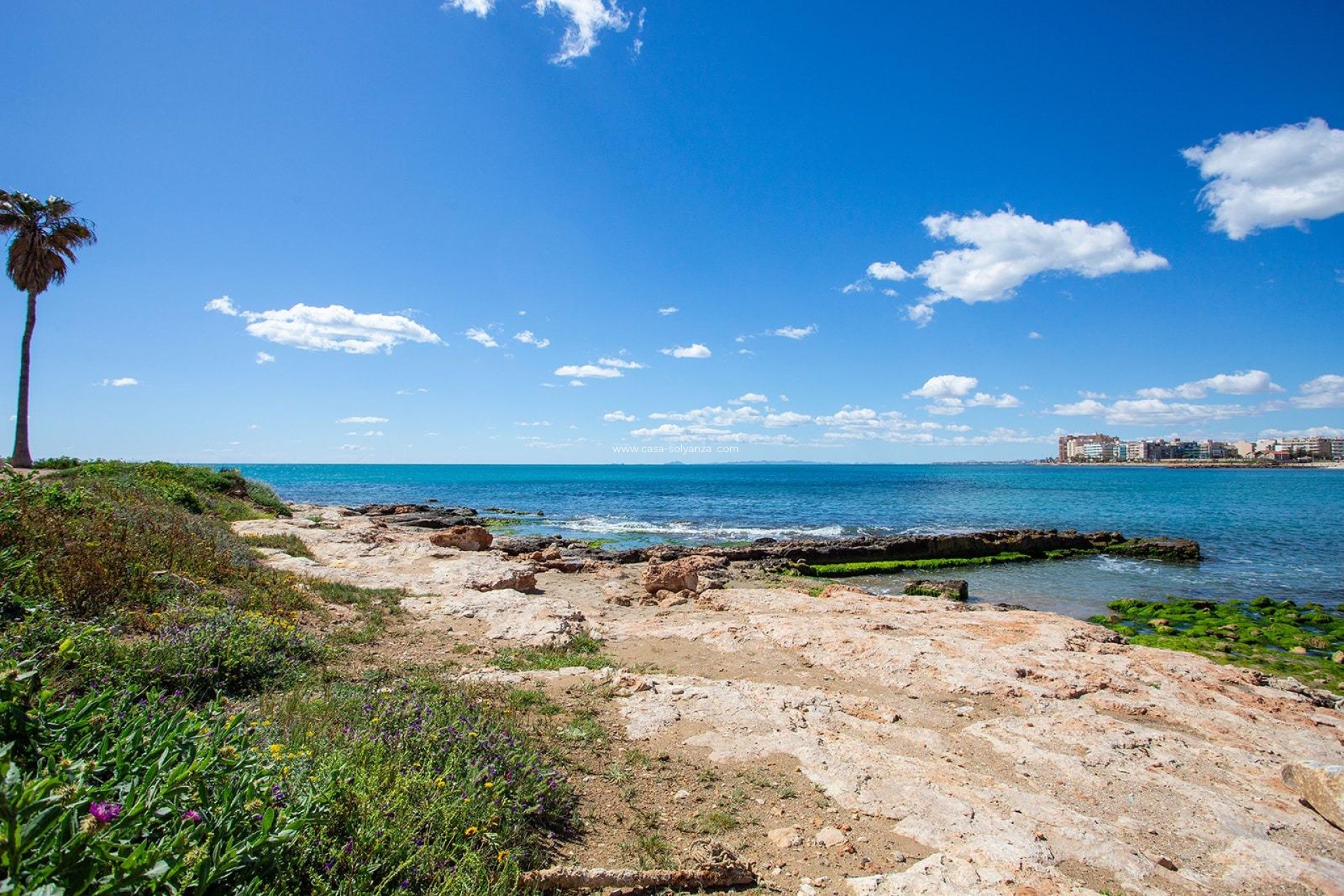 Revente - Bungalow - Torrevieja - Center