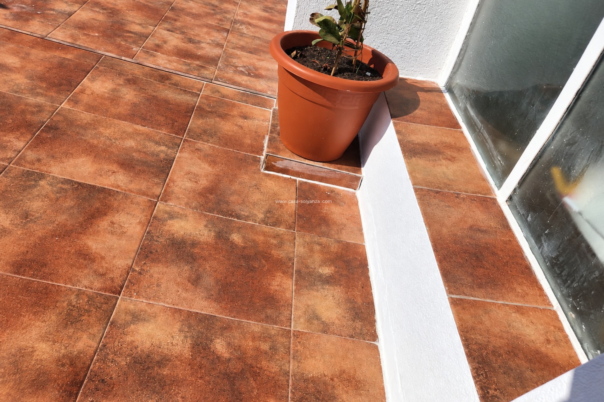 Revente - Bungalow - Torrevieja - Costa Blanca