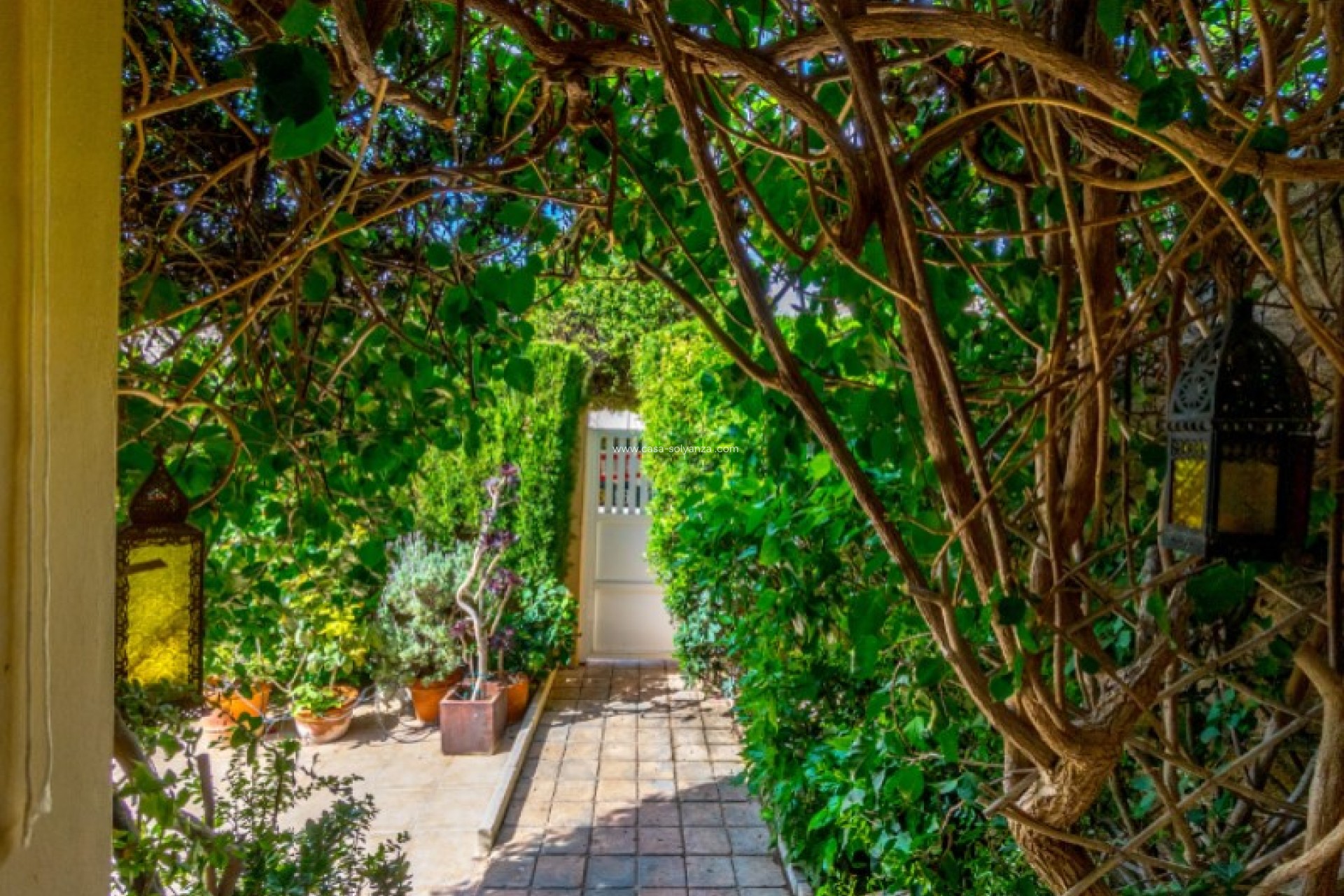 Revente - Bungalow - Torrevieja - Costa Blanca