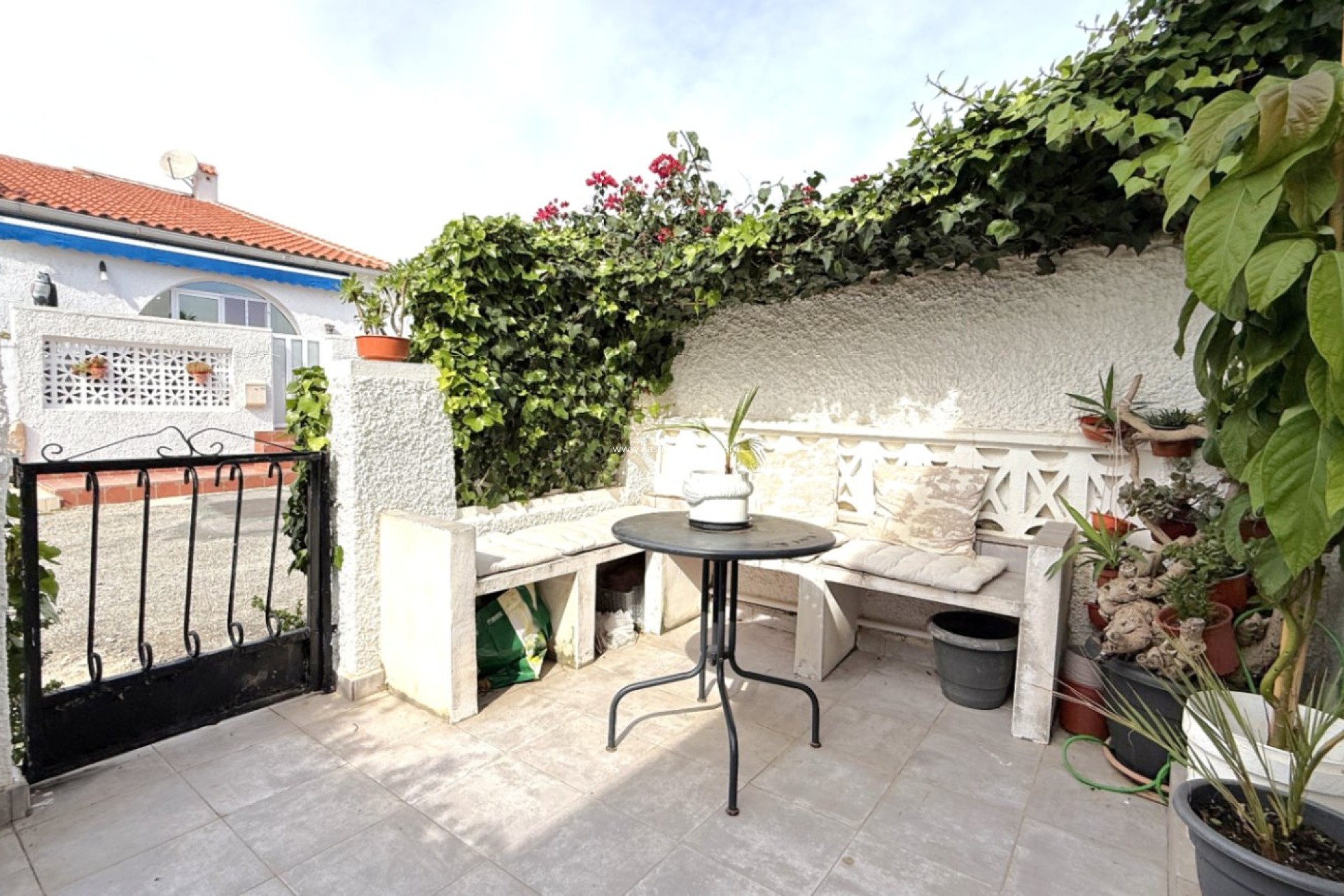 Revente - Bungalow - Torrevieja - Costa Blanca