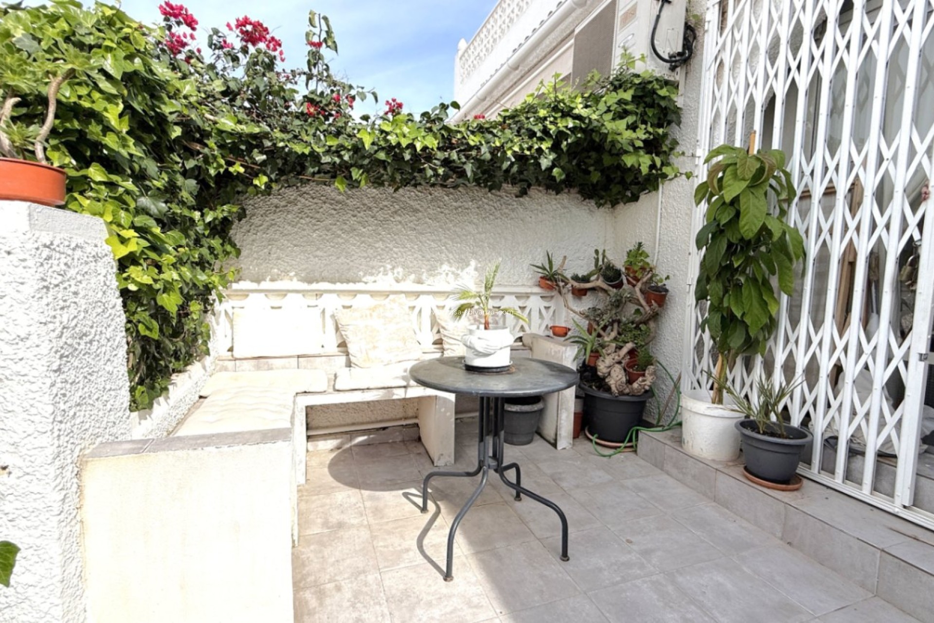 Revente - Bungalow - Torrevieja - Costa Blanca