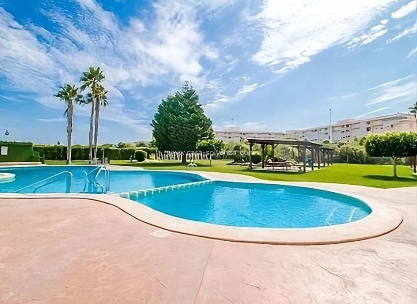 Revente - Bungalow - Torrevieja - Costa Blanca