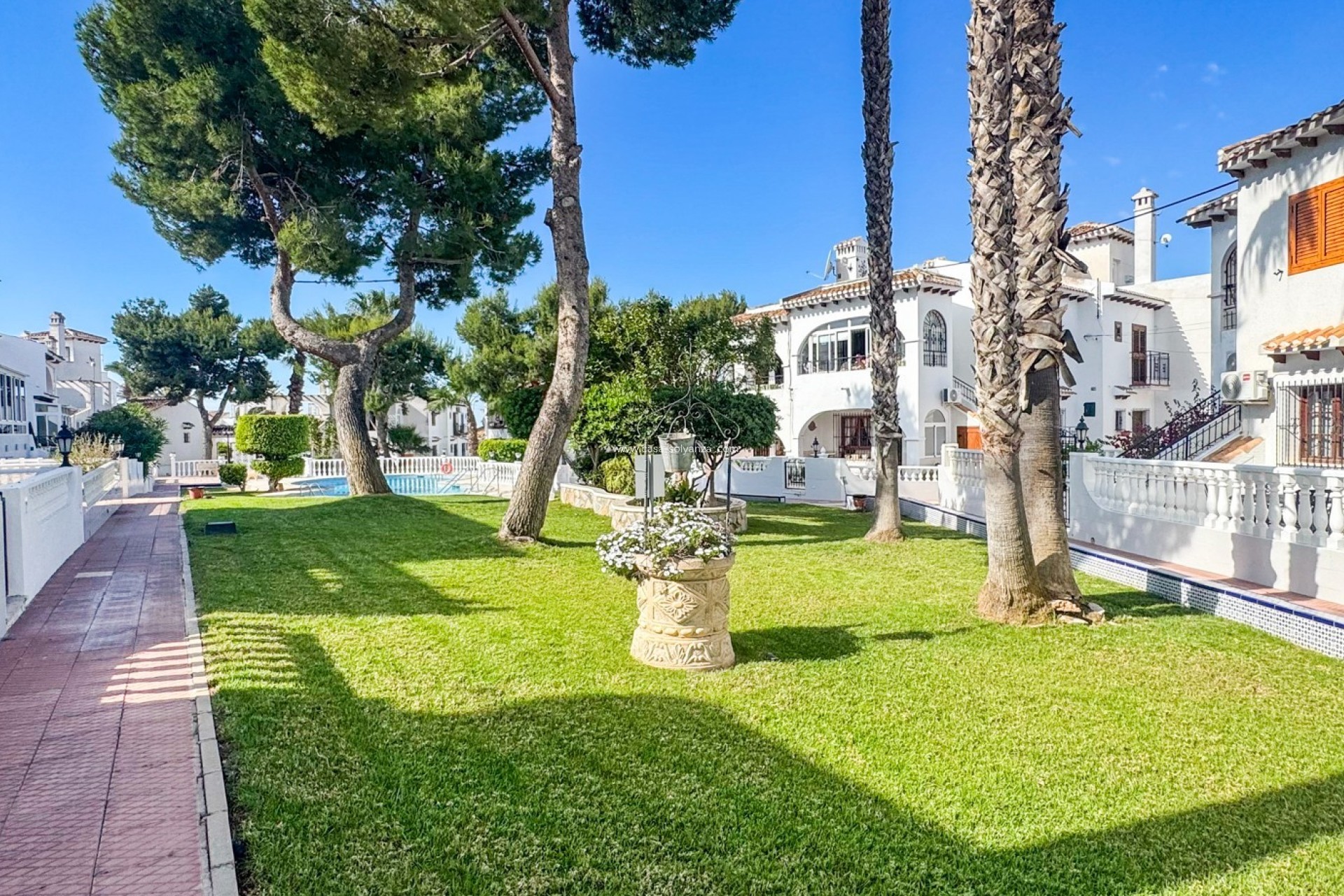 Revente - Bungalow - Torrevieja - Costa Blanca