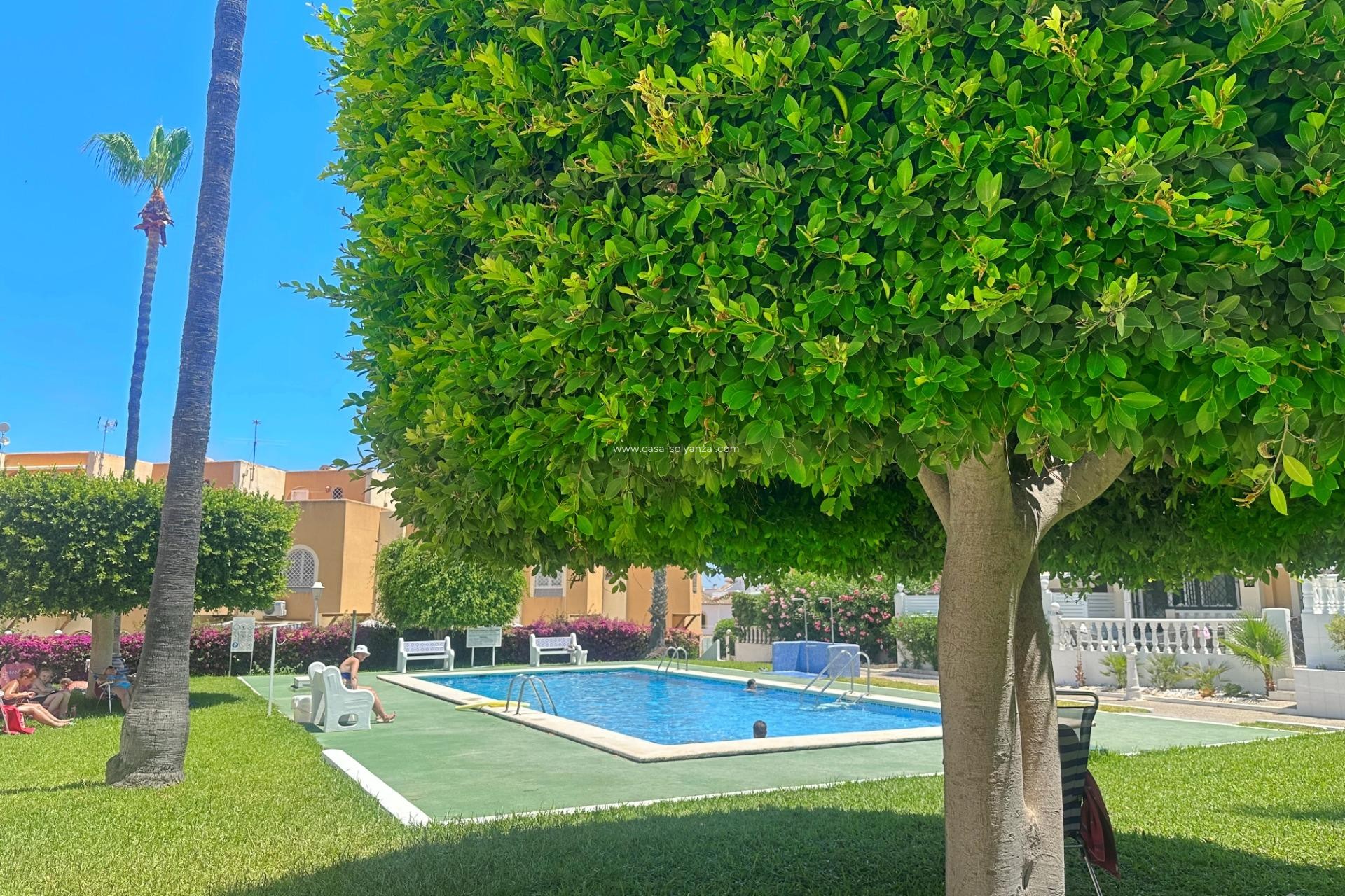 Revente - Bungalow - Torrevieja - La Mata