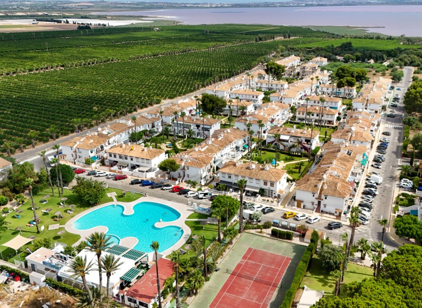Revente - Bungalow - Torrevieja - Lago jardin