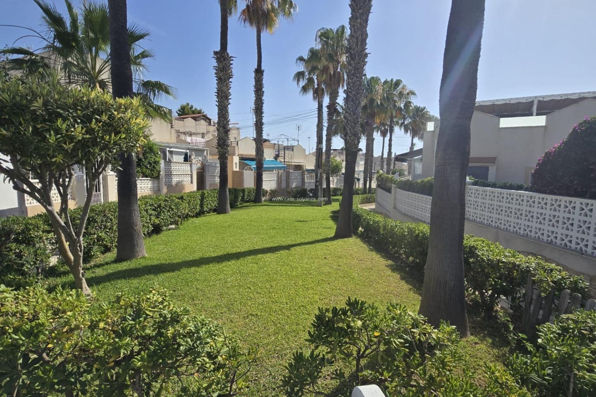 Revente - Bungalow - Torrevieja - Los Balcones
