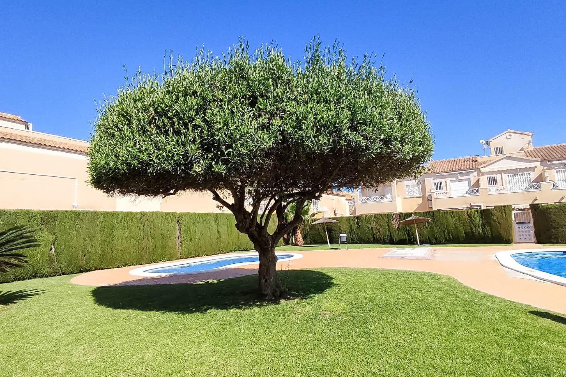 Revente - Bungalow - Torrevieja - Parque Acuático - Sector 25