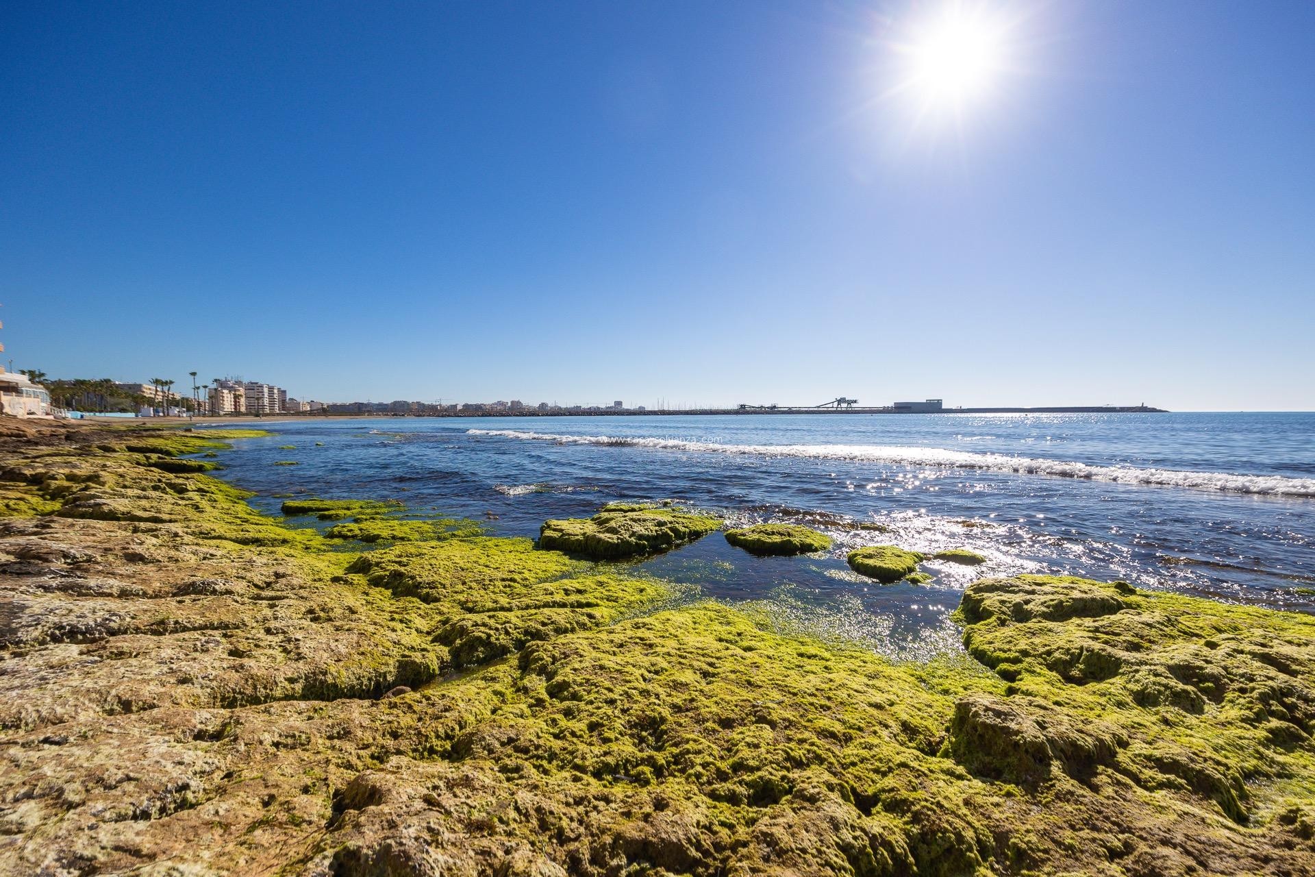 Revente - Bungalow - Torrevieja - Playa De Los Naufragos