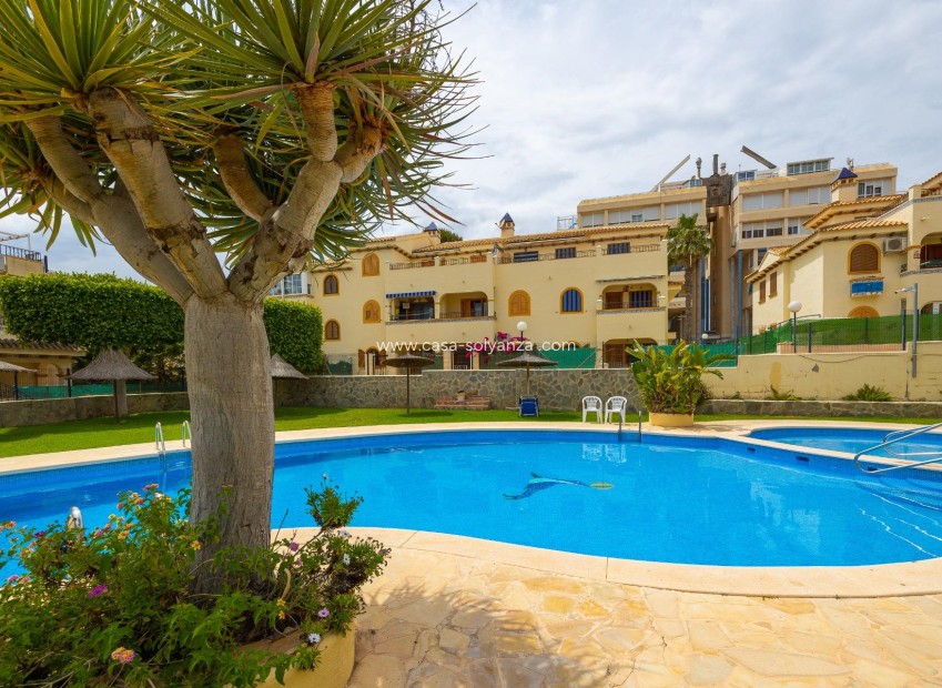 Revente - Bungalow - Torrevieja - Torre La Mata