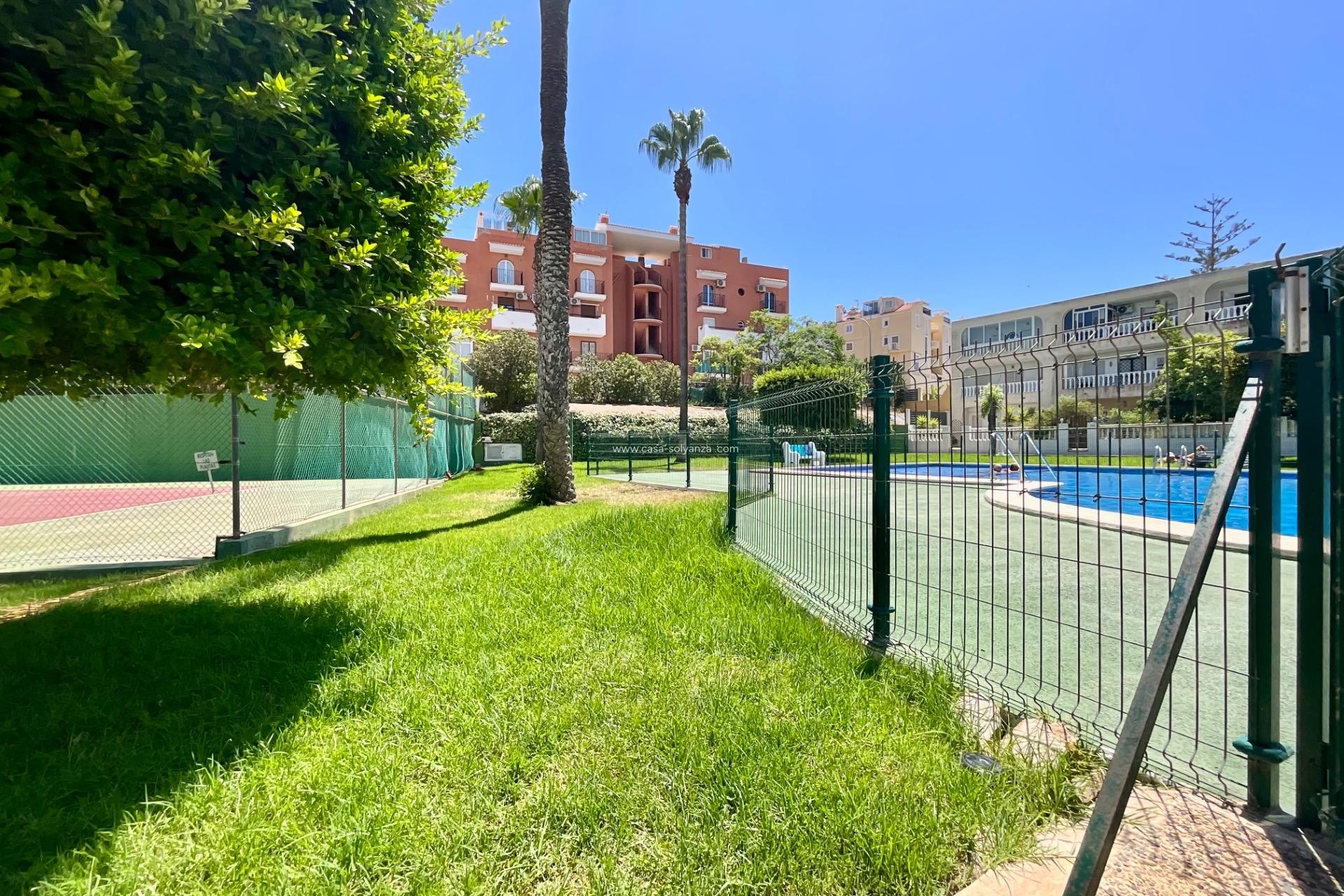 Revente - Bungalow - Torrevieja - Torreblanca