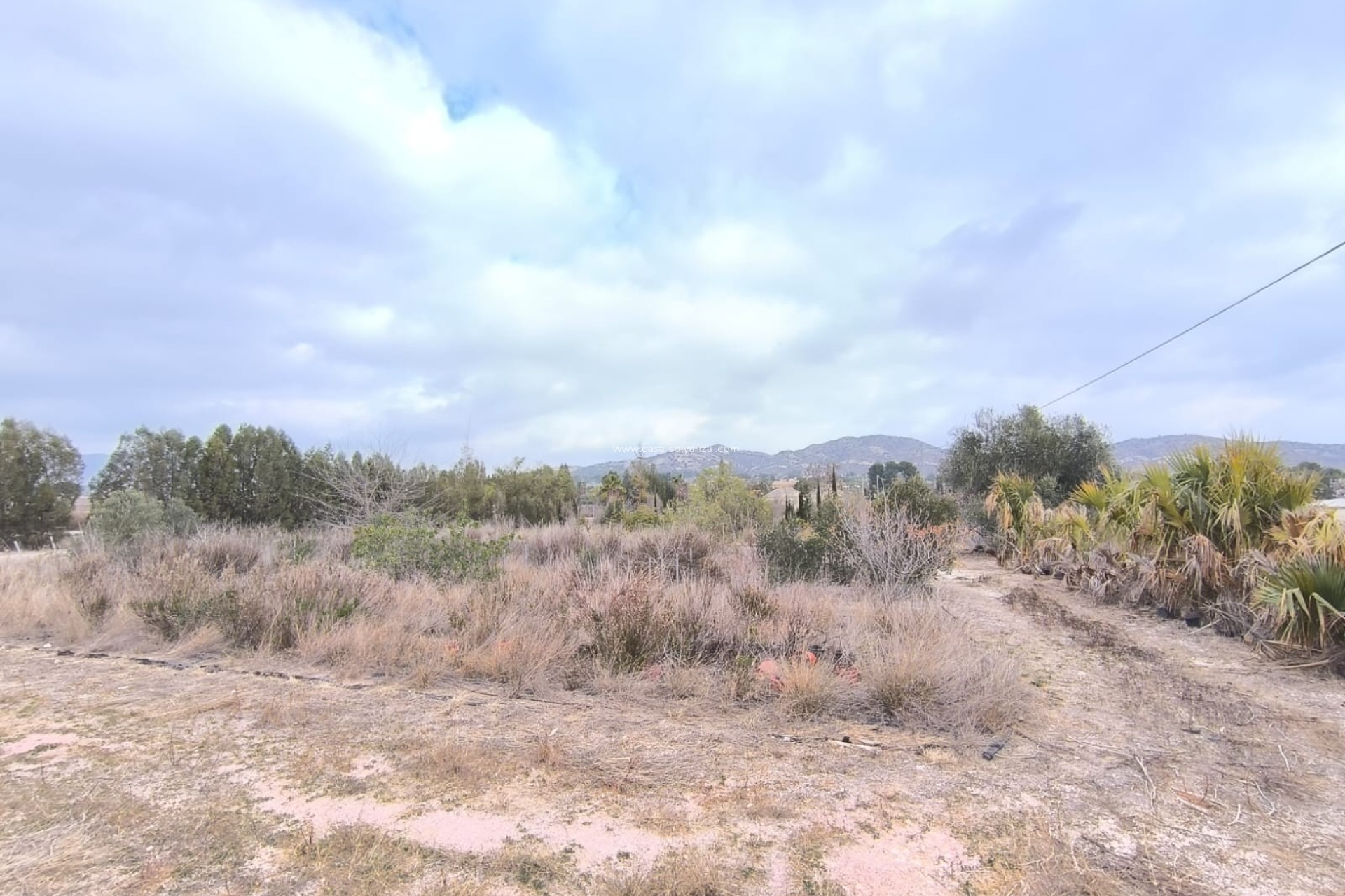 Revente - Commercial - Aspe - Inland