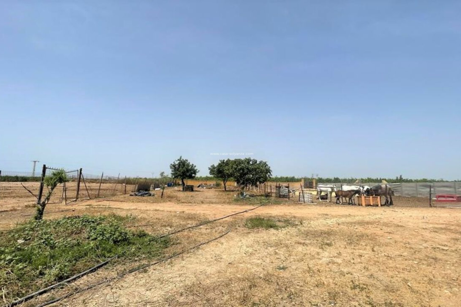 Revente - Commercial - Balsicas - Inland