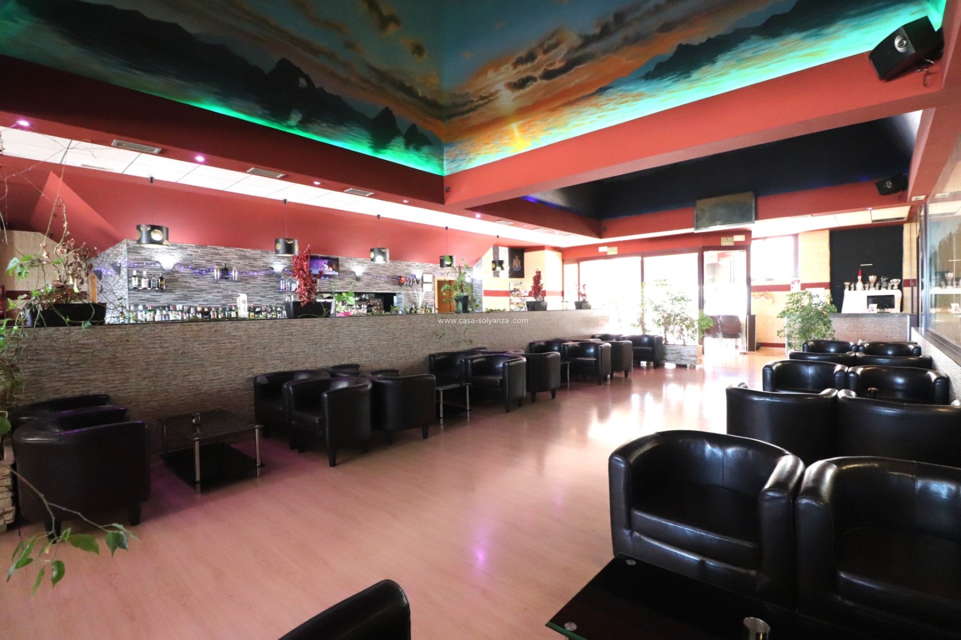 Revente - Commercial - Ciudad Quesada - Ciudad Quesada - Town