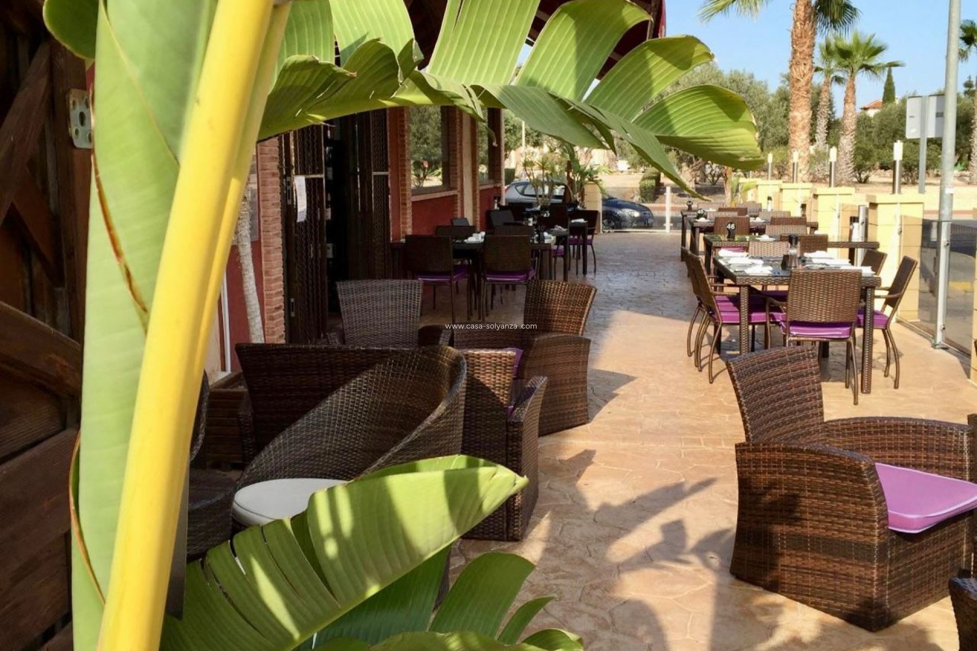 Revente - Commercial - Guardamar del Segura - Costa Blanca