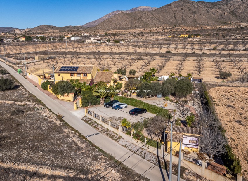 Revente - Commercial - Hondón de las Nieves - Inland