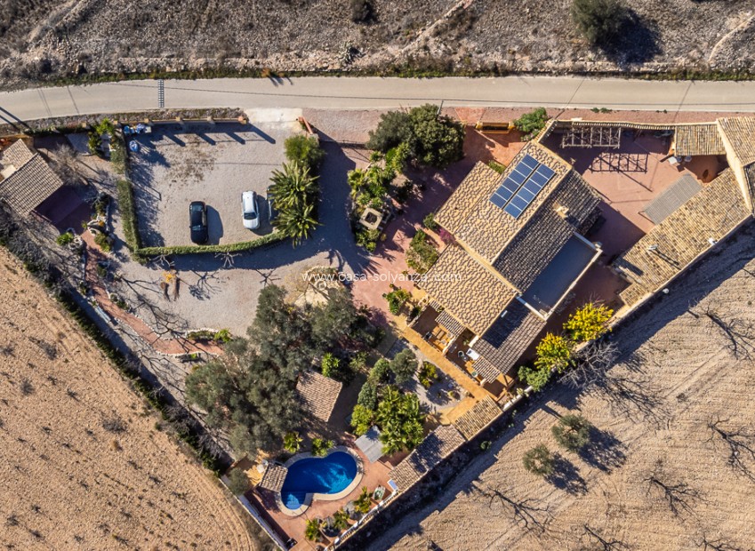 Revente - Commercial - Hondón de las Nieves - Inland