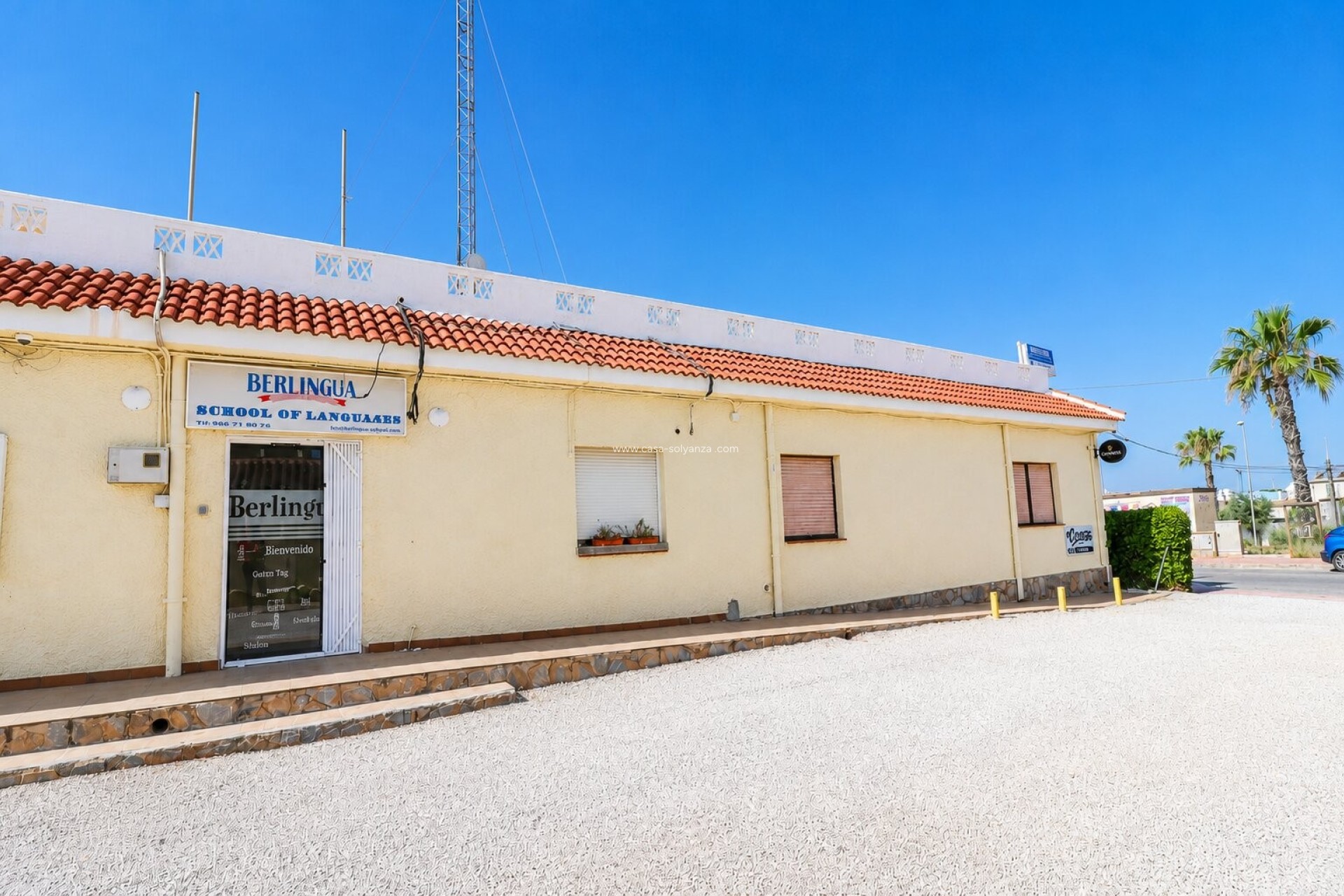 Revente - Commercial (Rental) - Ciudad Quesada - Doña Pepa