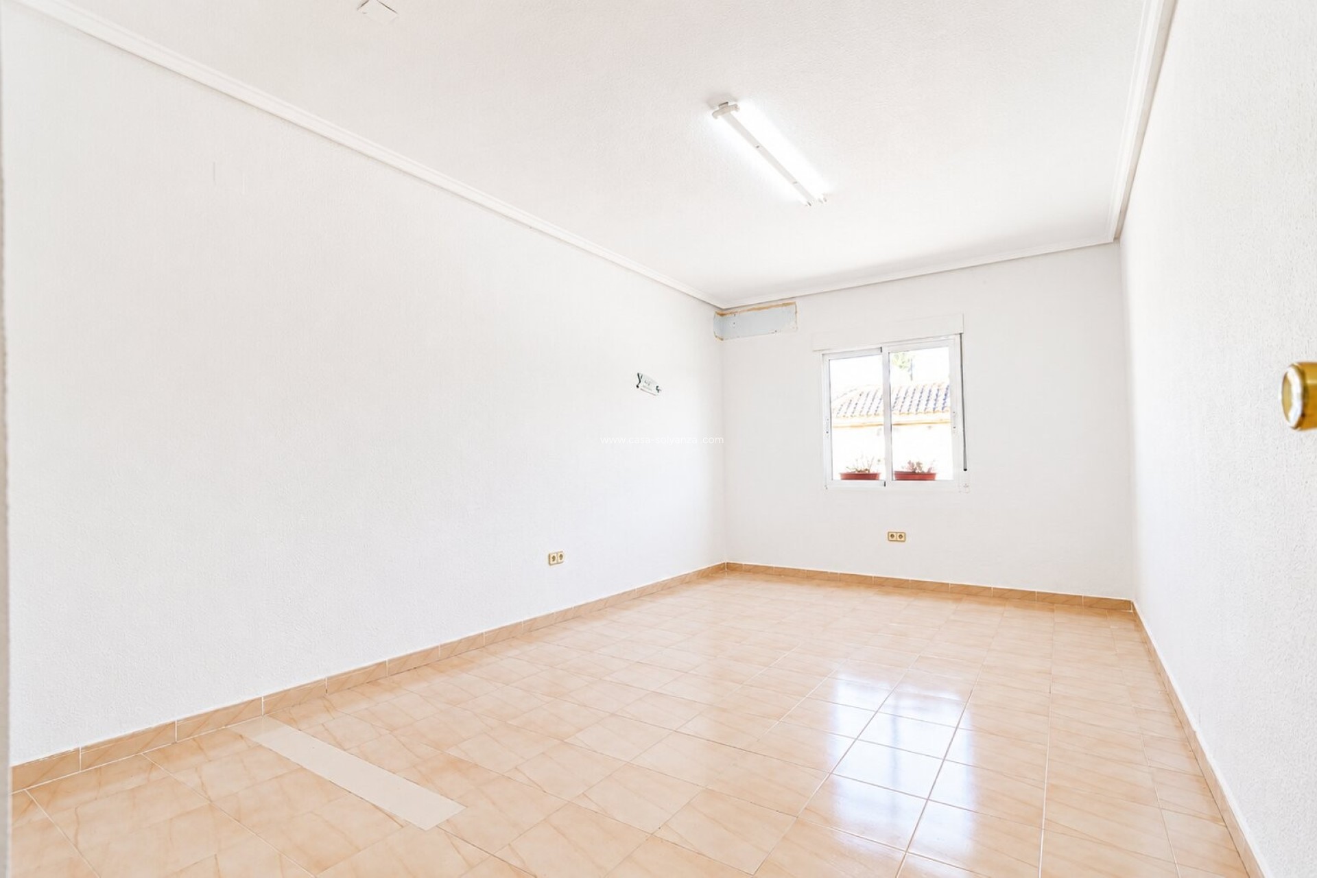 Revente - Commercial (Rental) - Ciudad Quesada - Doña Pepa