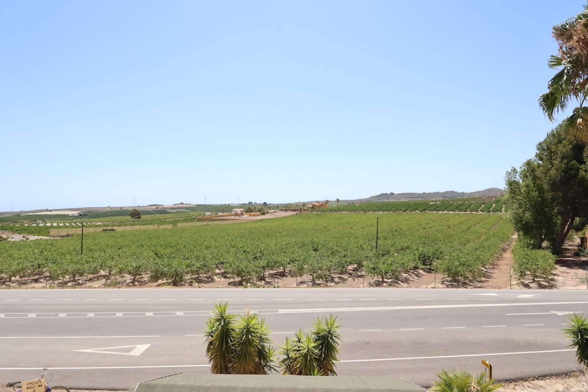 Revente - Commercial - San Miguel de Salinas - Inland