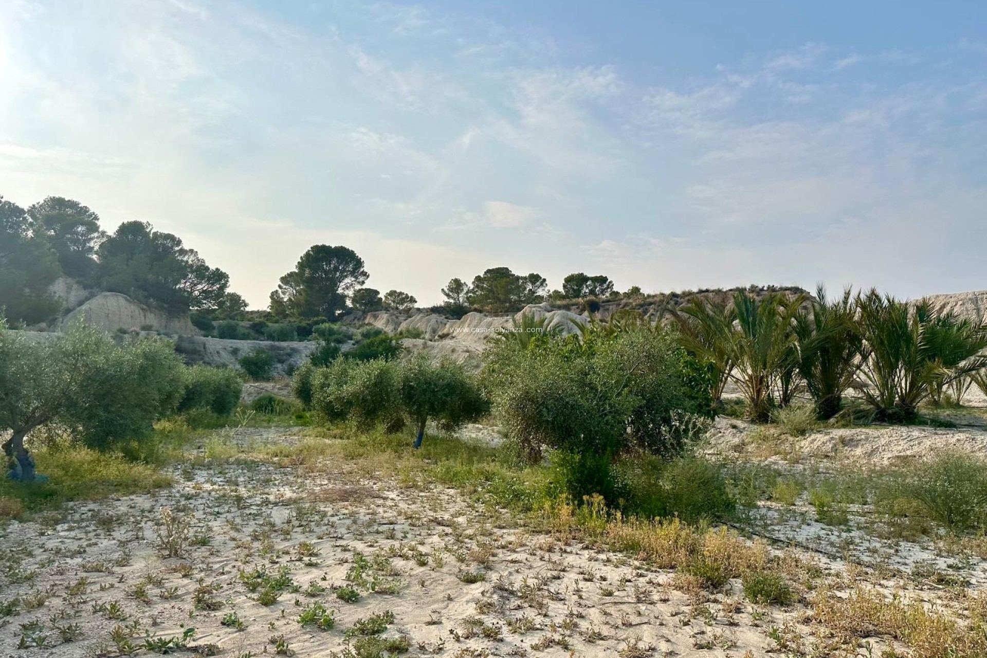 Revente - Country Property/Finca - Abanilla - Inland