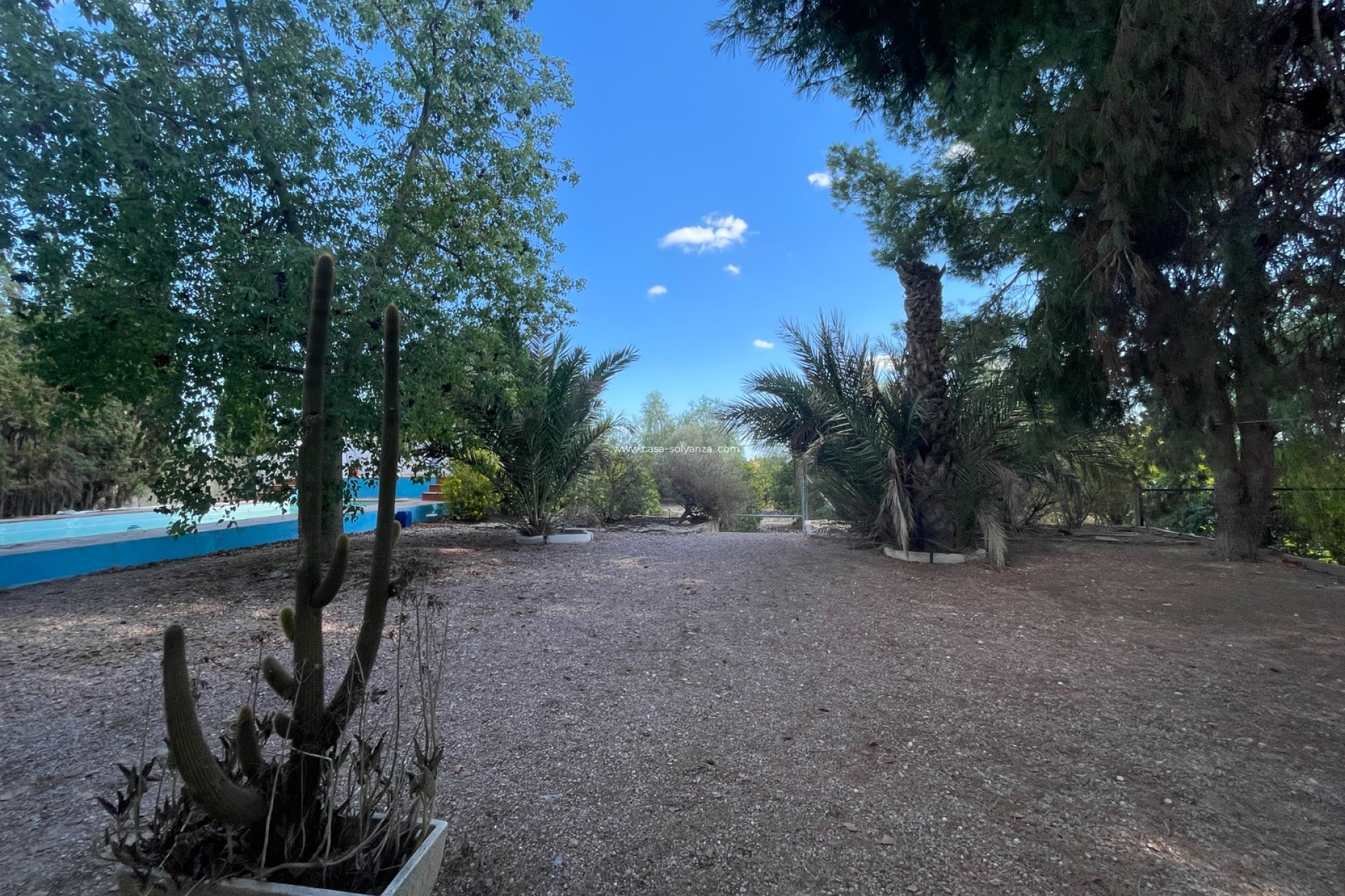 Revente - Country Property/Finca - Albatera - Inland