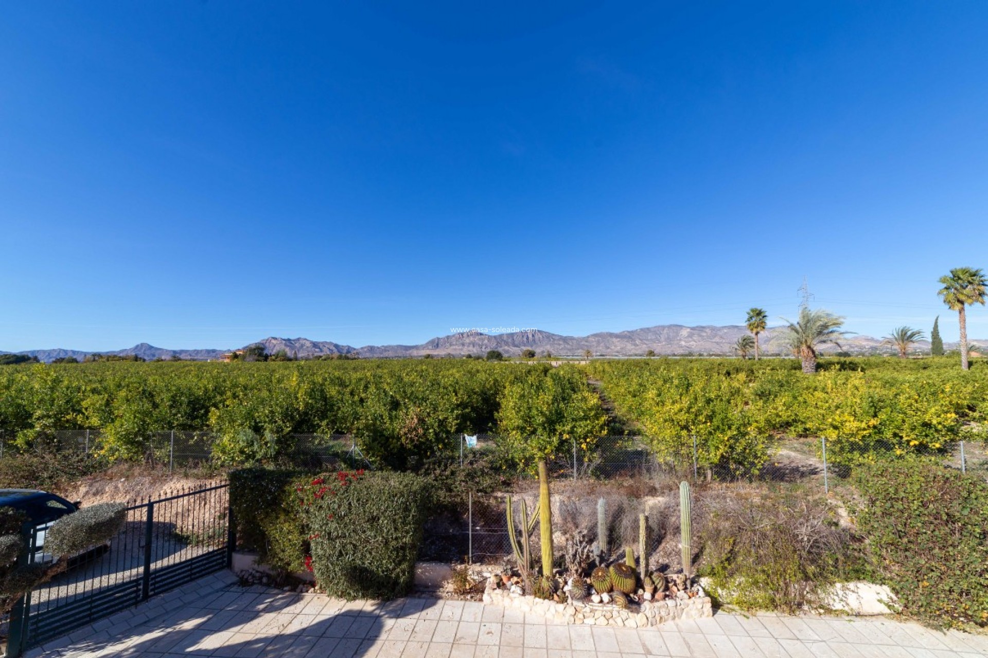 Revente - Country Property/Finca - Albatera - Inland
