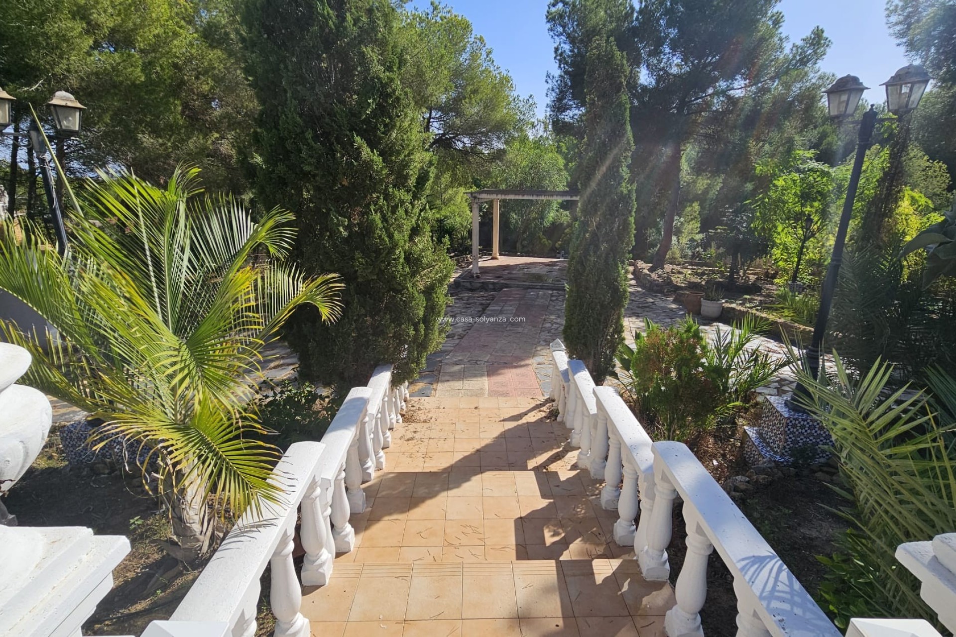 Revente - Country Property/Finca - Algorfa - Montemar