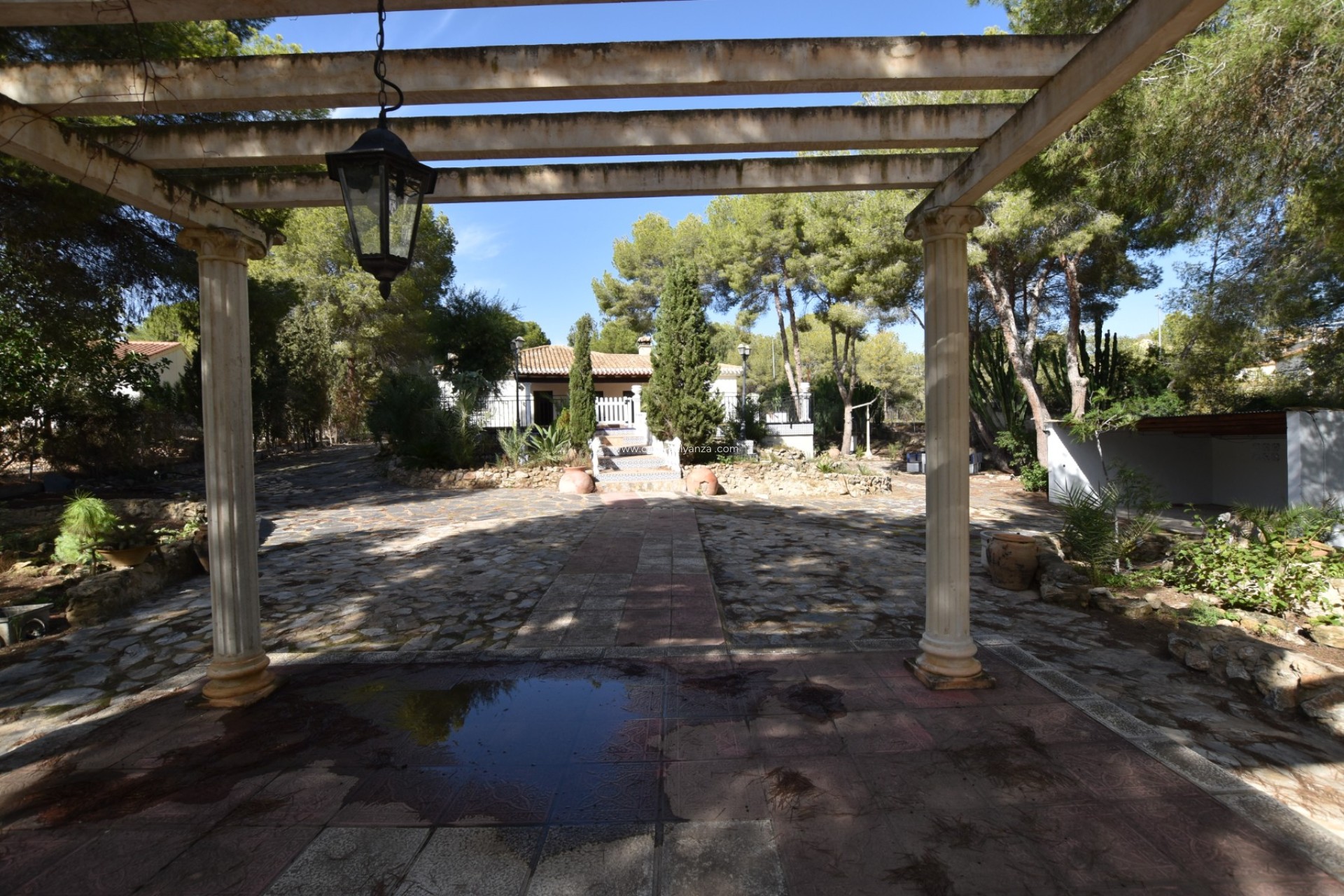 Revente - Country Property/Finca - Algorfa - Montemar
