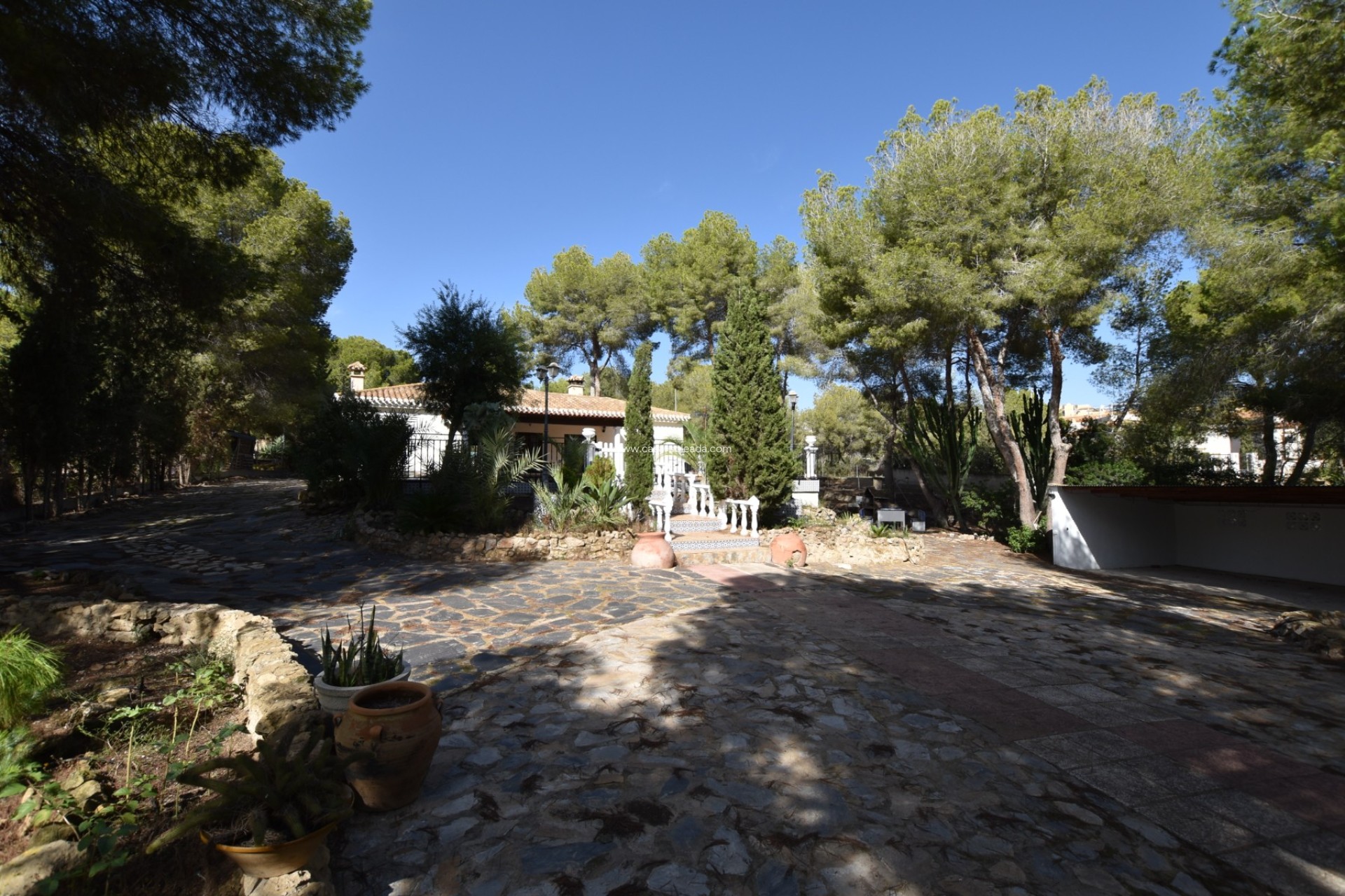 Revente - Country Property/Finca - Algorfa - Montemar