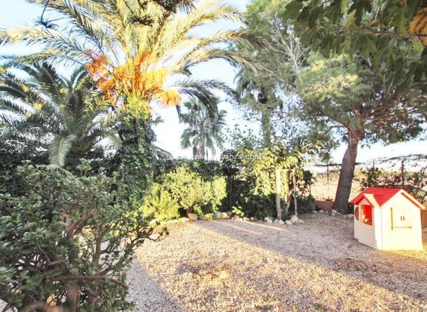 Revente - Country Property/Finca - Almoradí - Comunidad Valenciana