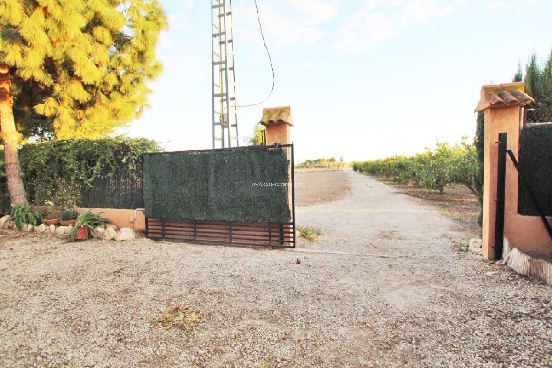 Revente - Country Property/Finca - Almoradí - Comunidad Valenciana