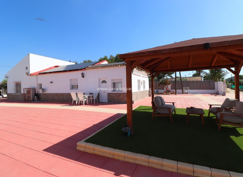 Revente - Country Property/Finca - Benferri - Benferri - Country
