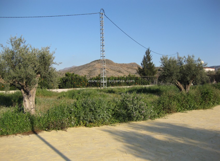 Revente - Country Property/Finca - Benferri - Inland