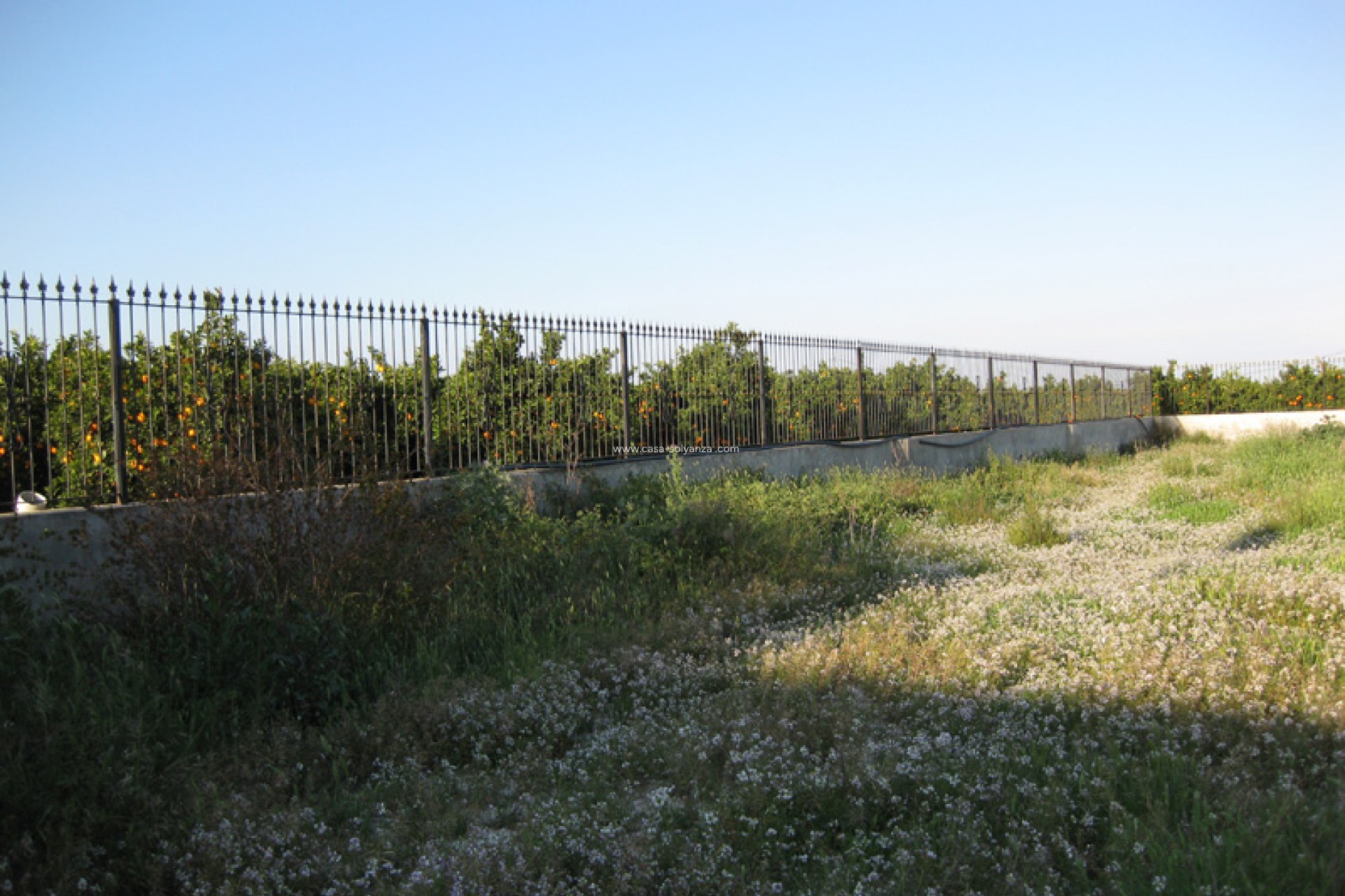 Revente - Country Property/Finca - Benferri - Inland