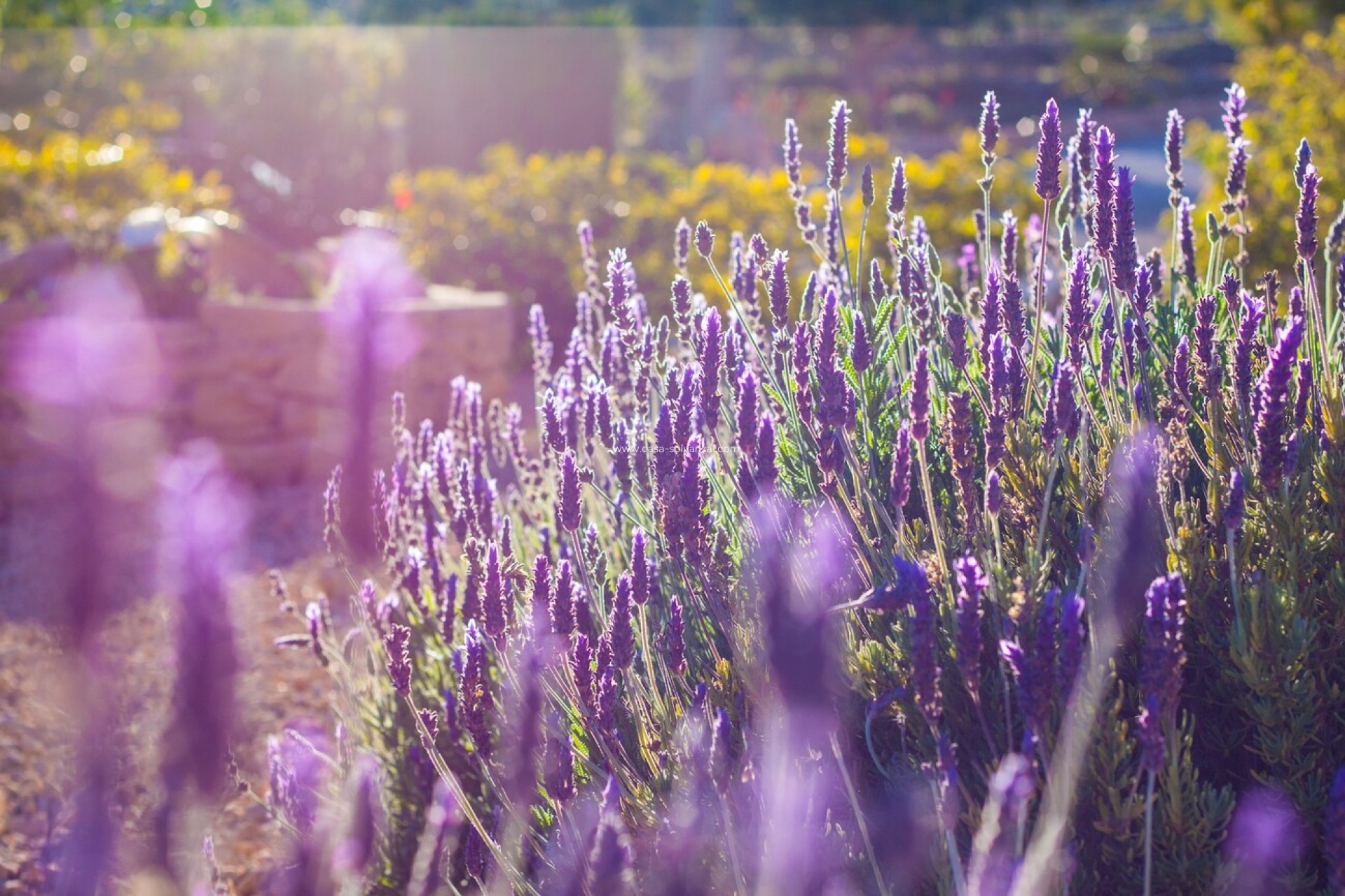 Revente - Country Property/Finca - Benisa - Costa Blanca