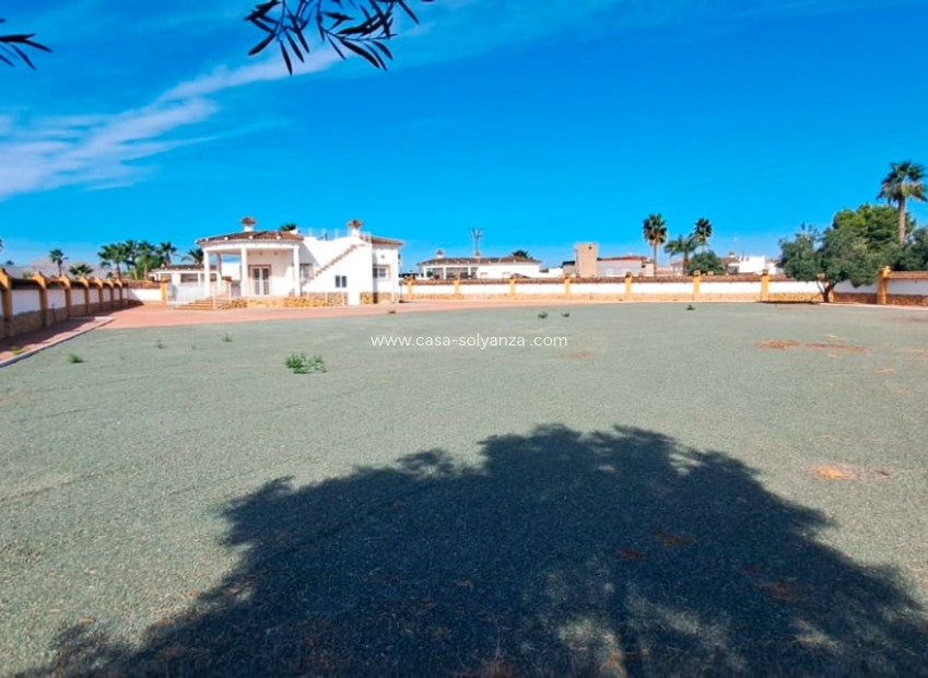Revente - Country Property/Finca - Catral - Catral - Country