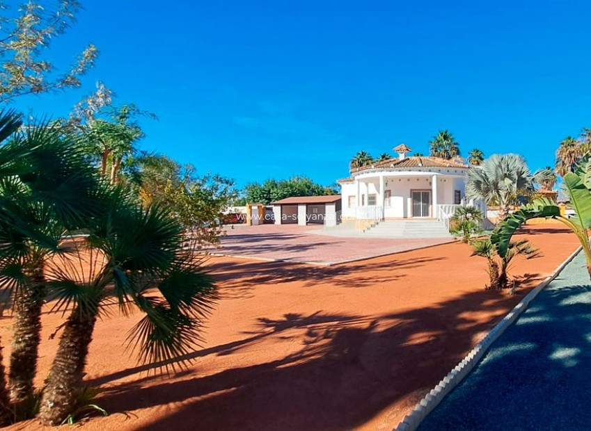 Revente - Country Property/Finca - Catral - Catral - Country