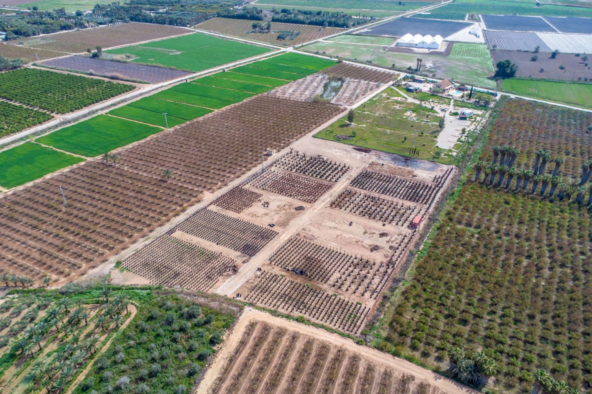 Revente - Country Property/Finca - Crevillente - Crevillent