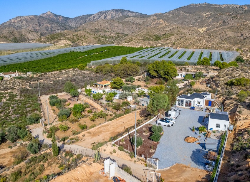 Revente - Country Property/Finca - Crevillente - Inland