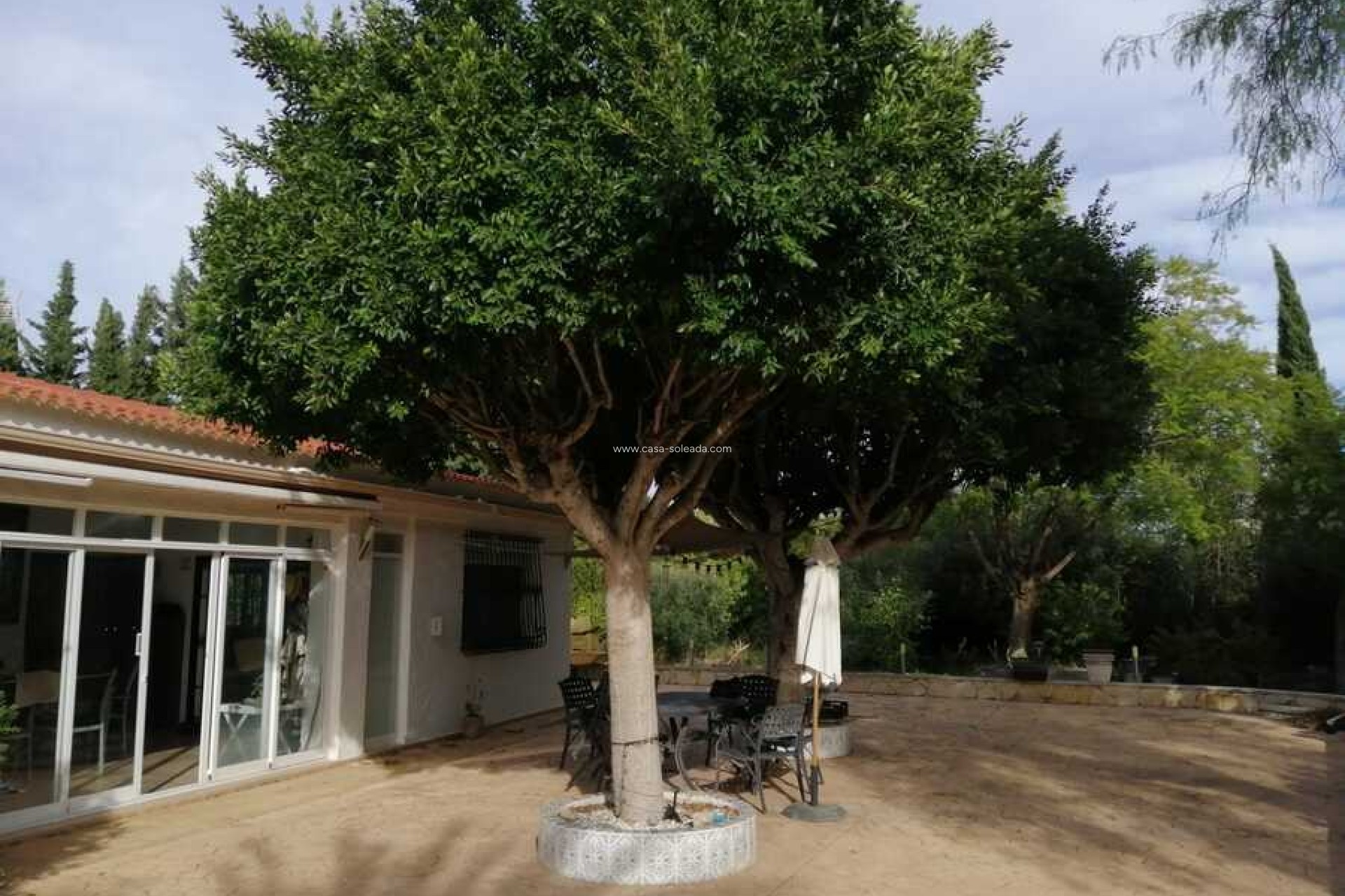 Revente - Country Property/Finca - Crevillente - Inland