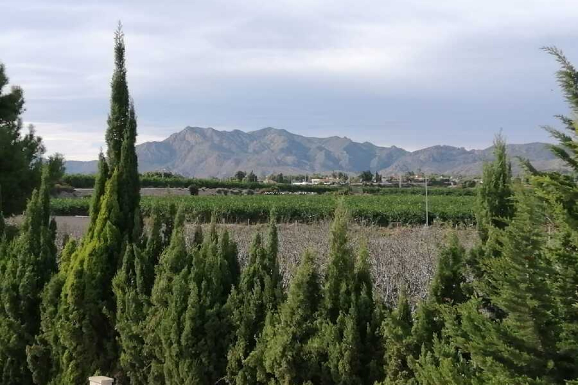 Revente - Country Property/Finca - Crevillente - Inland