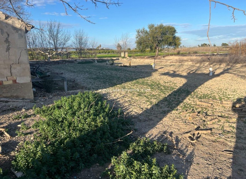 Revente - Country Property/Finca - Daya Nueva - Comunidad Valenciana