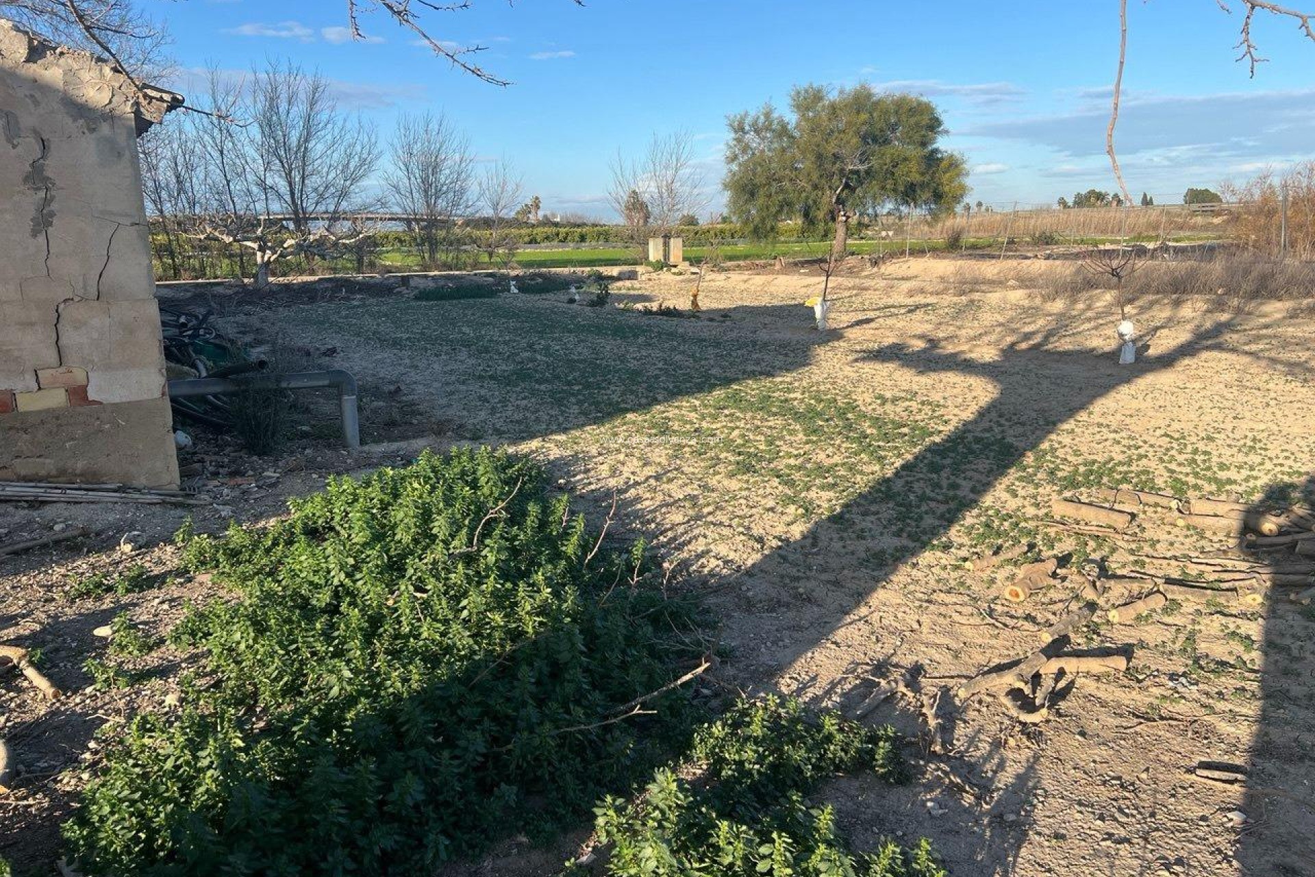 Revente - Country Property/Finca - Daya Nueva - Comunidad Valenciana