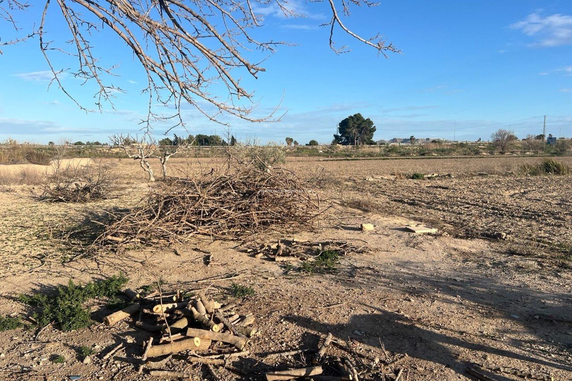 Revente - Country Property/Finca - Daya Nueva - Comunidad Valenciana