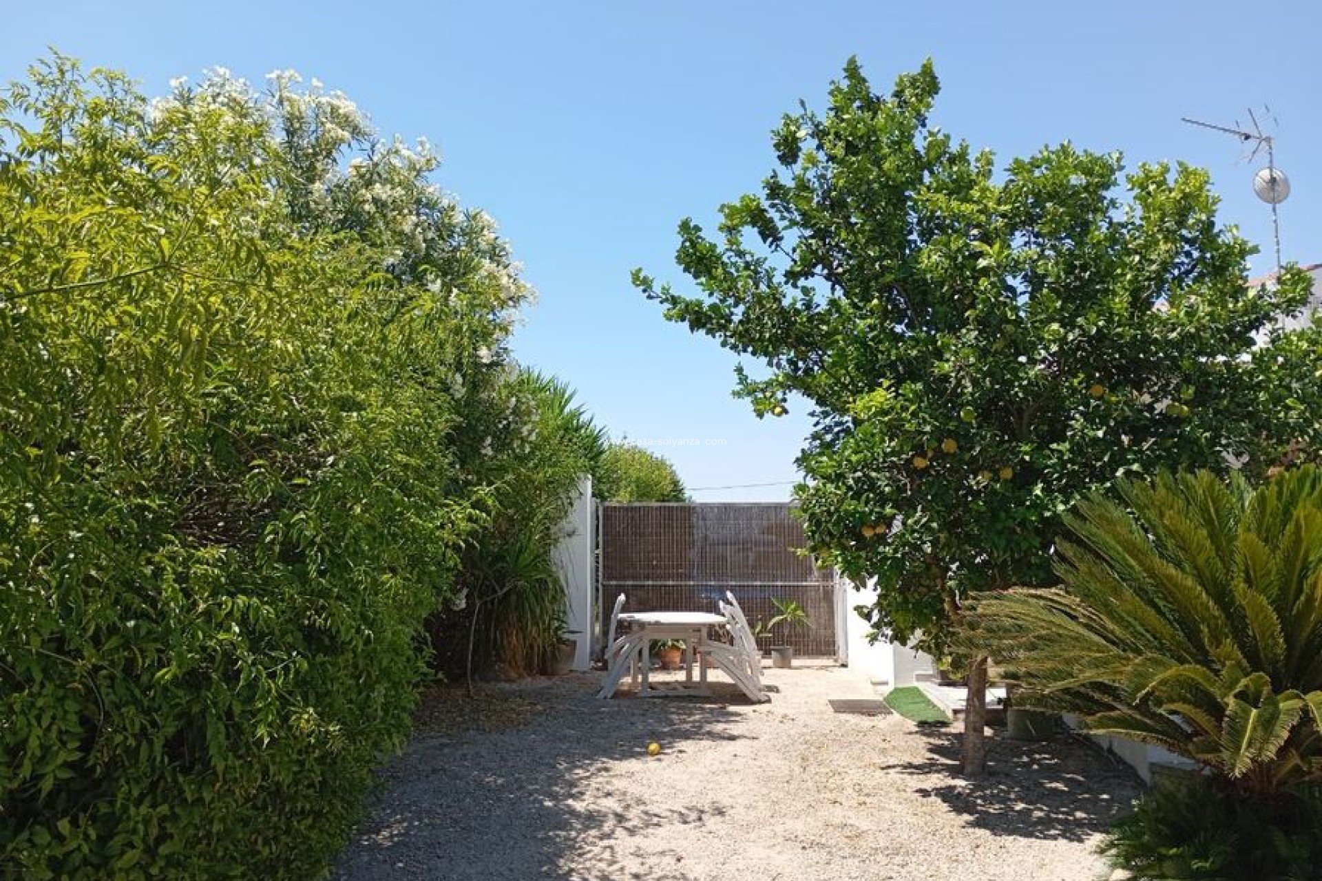Revente - Country Property/Finca - Daya Nueva - Costa Blanca