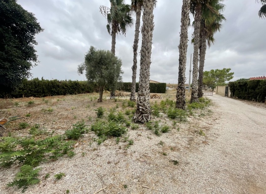 Revente - Country Property/Finca - Daya Vieja - 0