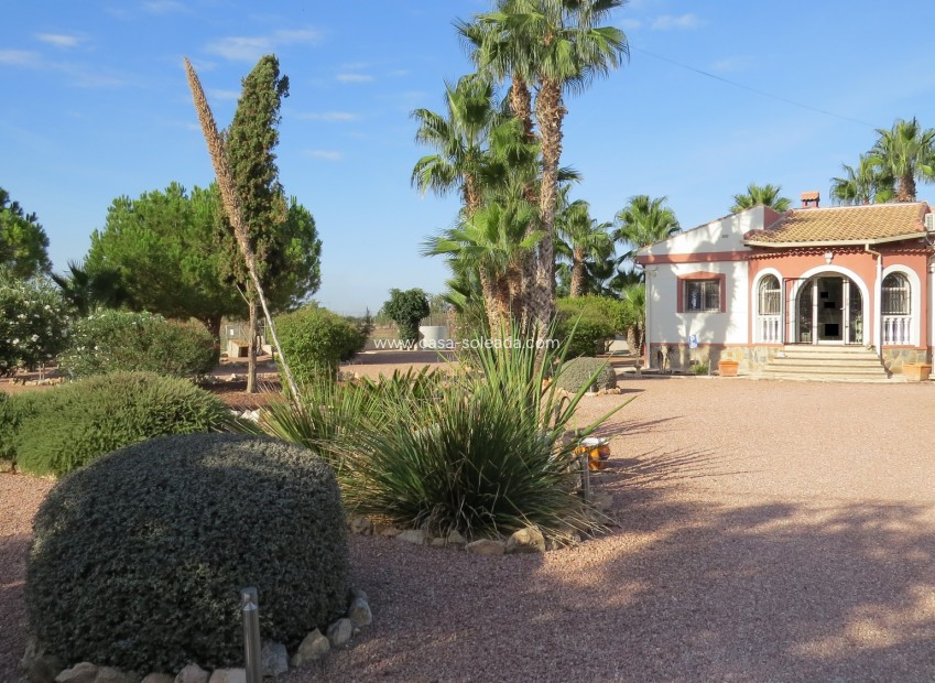 Revente - Country Property/Finca - Daya Vieja - Costa Blanca