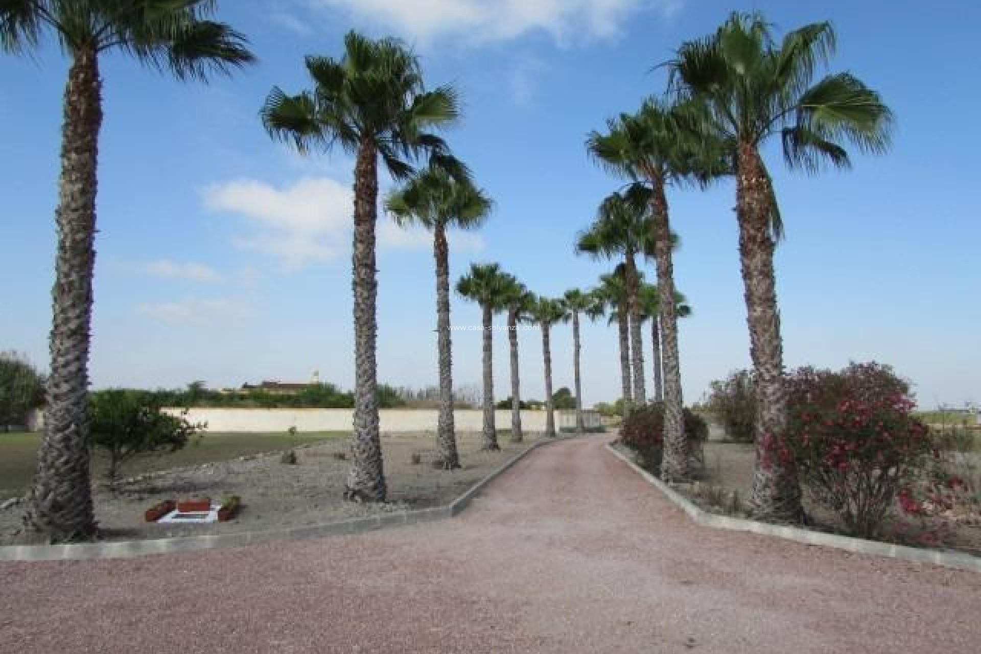 Revente - Country Property/Finca - Dolores - Comunidad Valenciana