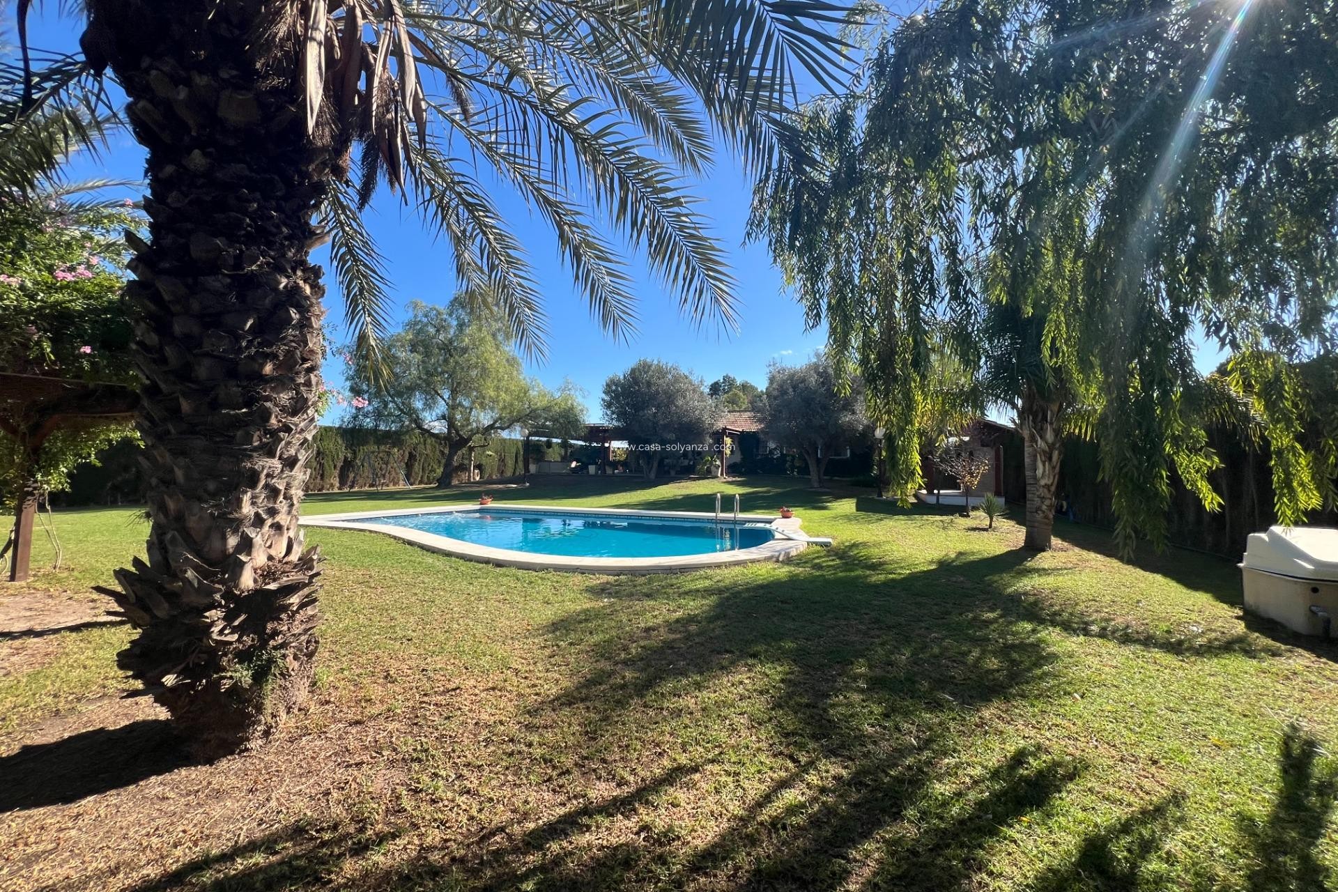Revente - Country Property/Finca - Dolores - Comunidad Valenciana