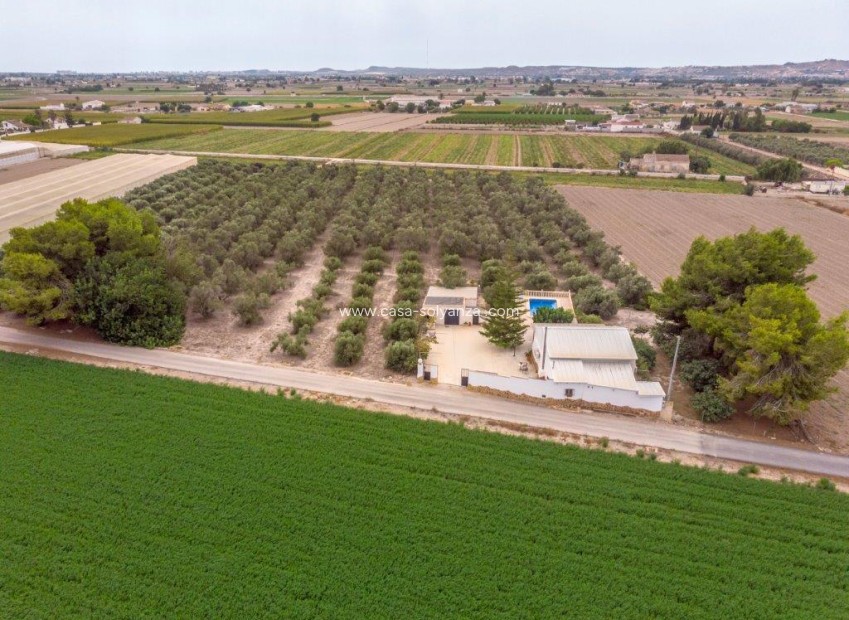 Revente - Country Property/Finca - Dolores - Costa Blanca